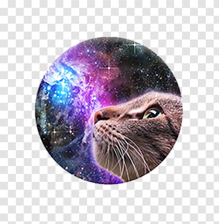 CatStronauts: Mission Moon PopSockets Grip Stand IPhone 4 - Animal - Cat Transparent PNG