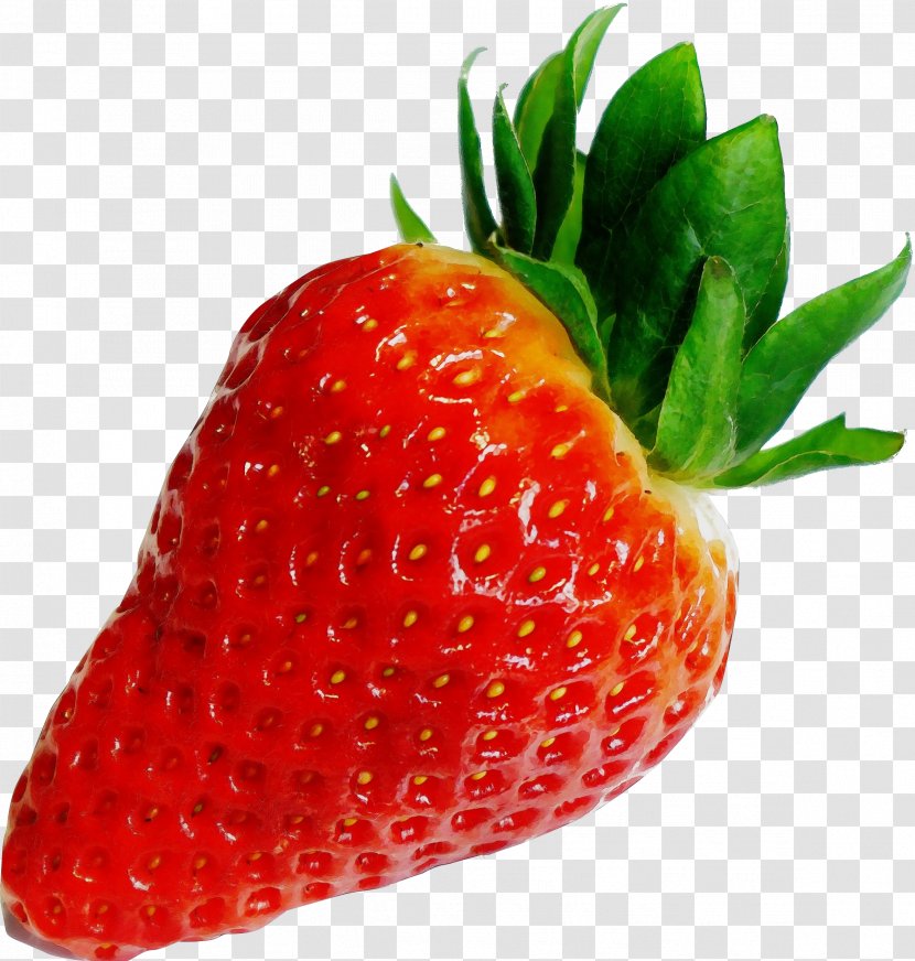 Strawberry - Strawberries - Plant Berry Transparent PNG