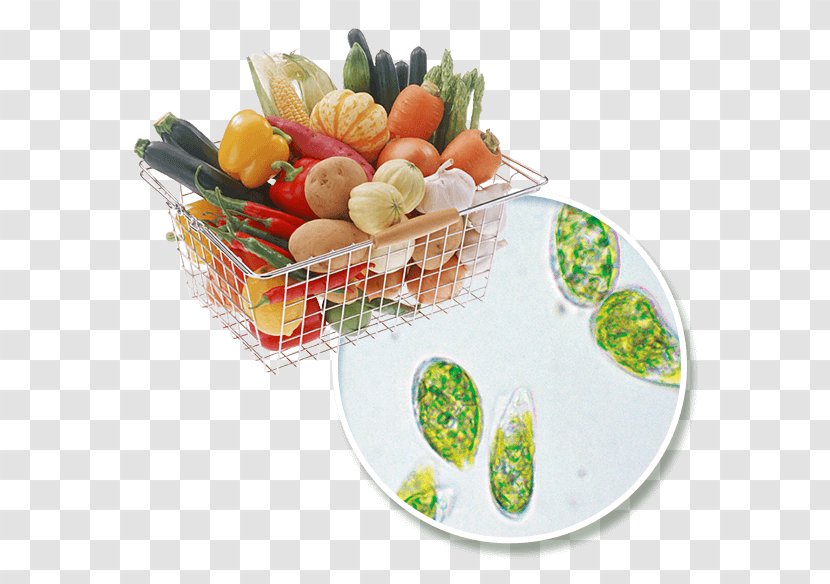 肠胃决定健康: 预防慢性病食物营养使用手册 Food Medicine Vitamin Health - Dish - Euglena Transparent PNG