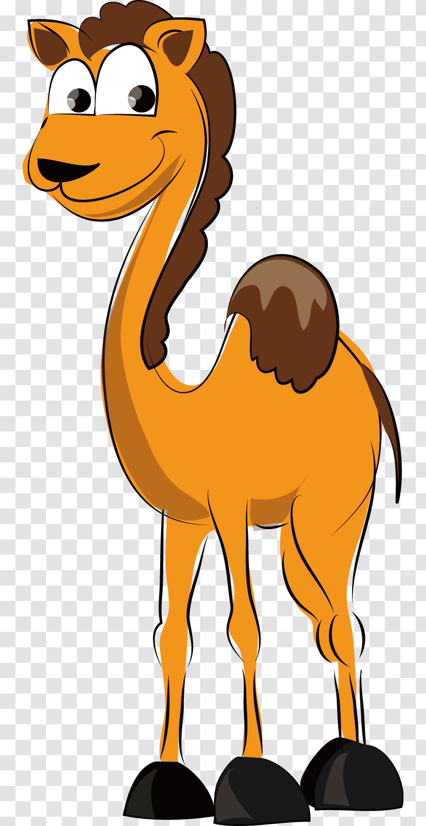 Dromedary Cartoon - Arabian Camel - Vector Transparent PNG