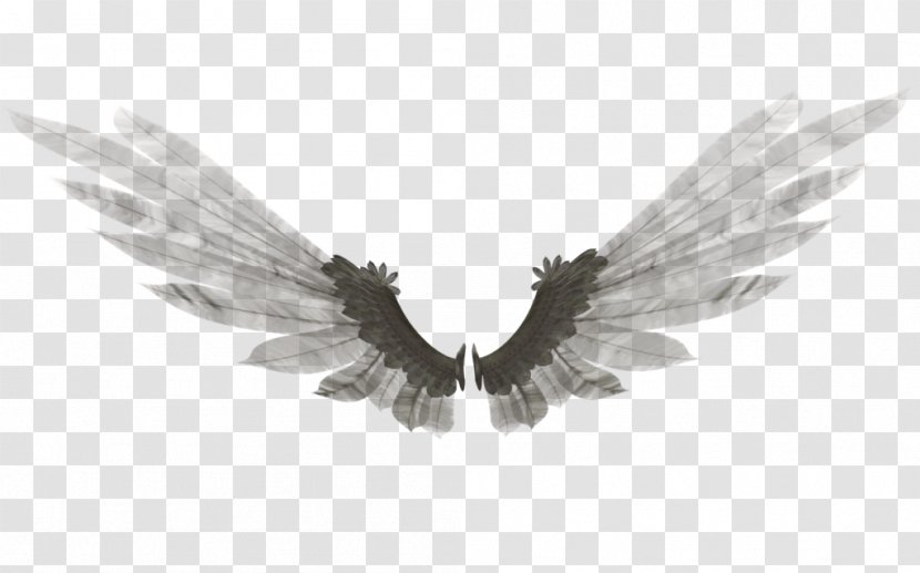 Wing DeviantArt Feather Bethor Digital Art - Angel Wings Transparent PNG