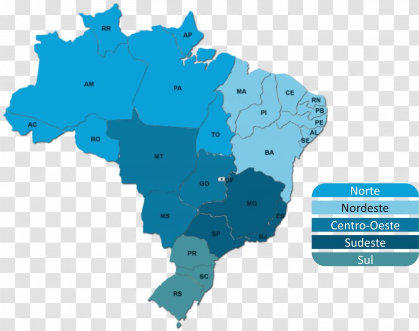 Brazil Vector Map - Organism Transparent PNG