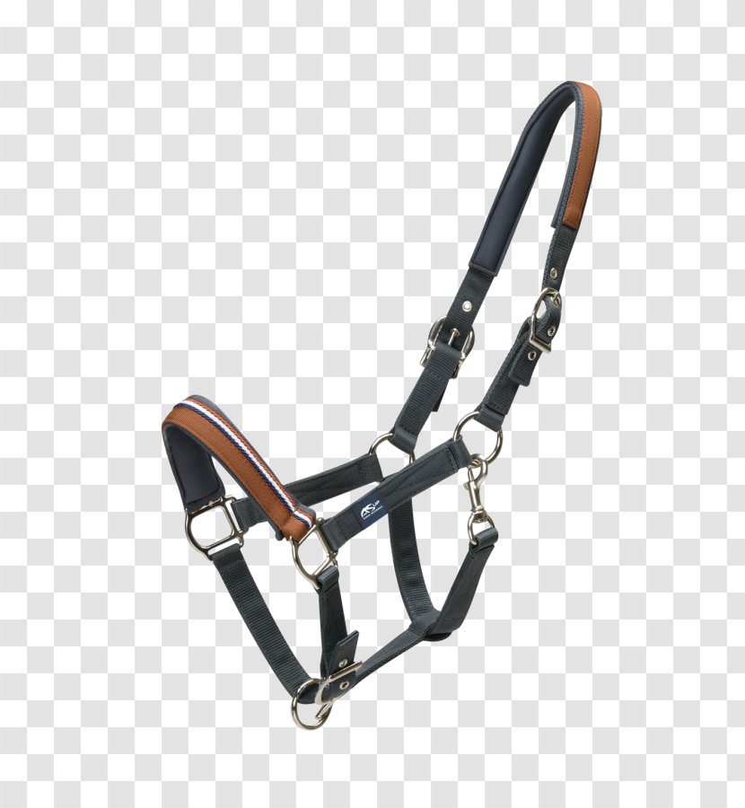 Halter Horse Lead Rope Leather - Noseband Transparent PNG