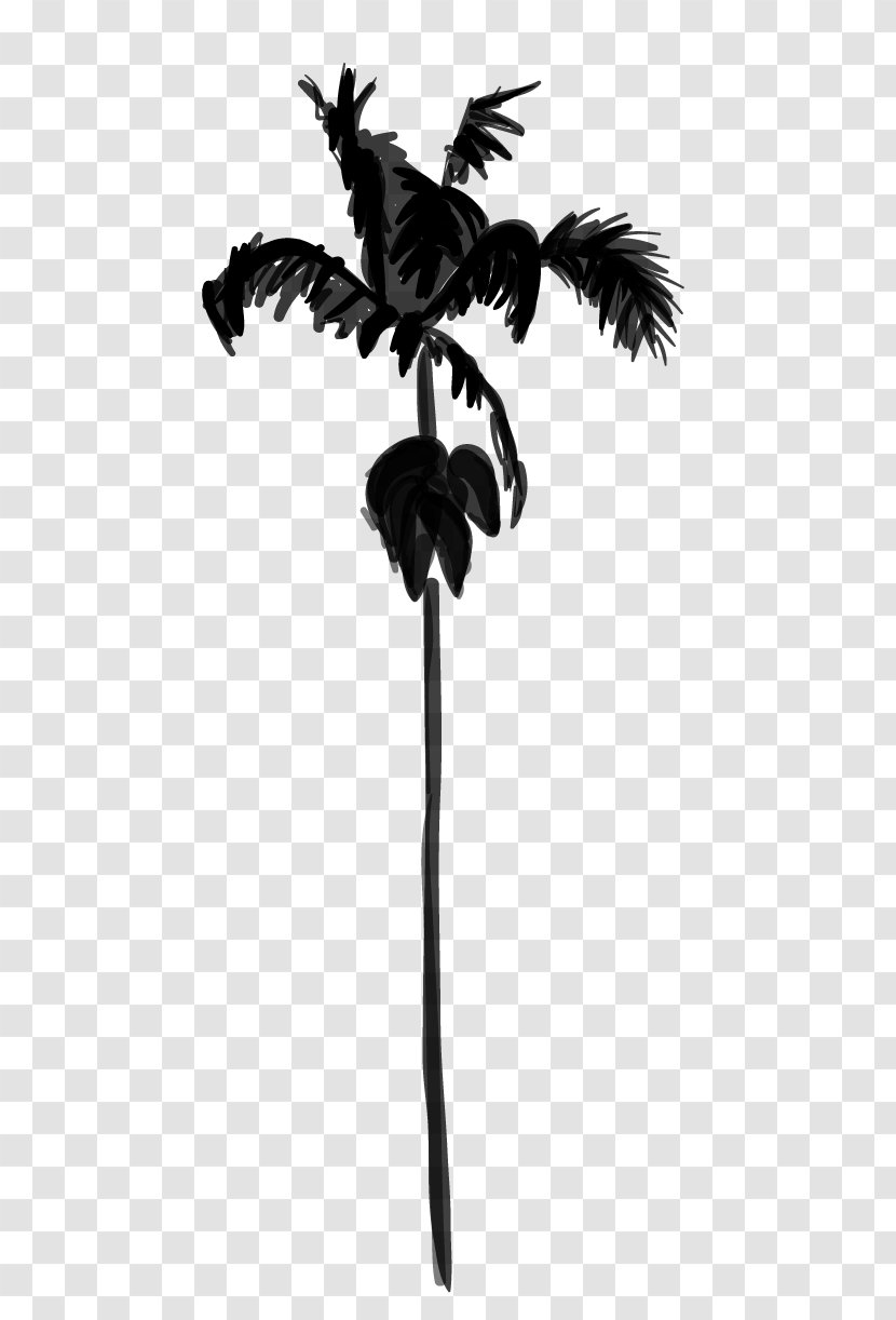 Palm Trees Black & White - Woody Plant - M Silhouette Feather Transparent PNG