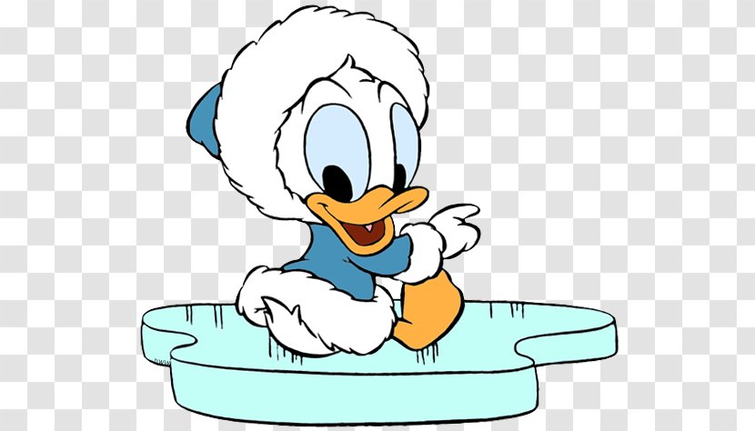 Coloring Book Ducks, Geese And Swans Water Bird - Organism - Donald Duck Baby Transparent PNG