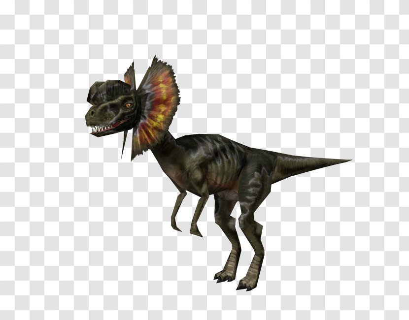 Velociraptor Tyrannosaurus Ceratosaurus Pachycephalosaurus Triceratops - Extinction - Dinosaur Transparent PNG