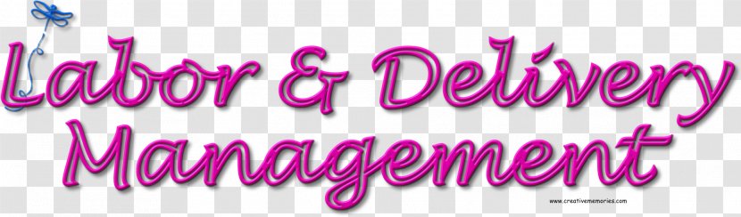 Logo Green Della Reggia Font - Violet - Pushing Labor And Delivery Transparent PNG