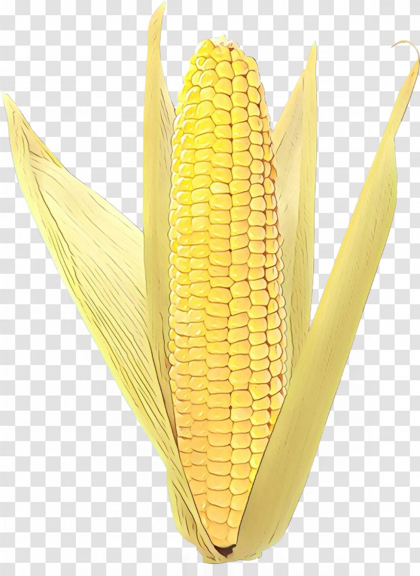 Corn On The Cob Product Design - Cuisine Transparent PNG