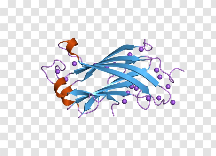 USP7 Ubiquitin P53 RELA Protease - Crystal Structure - Rela Transparent PNG