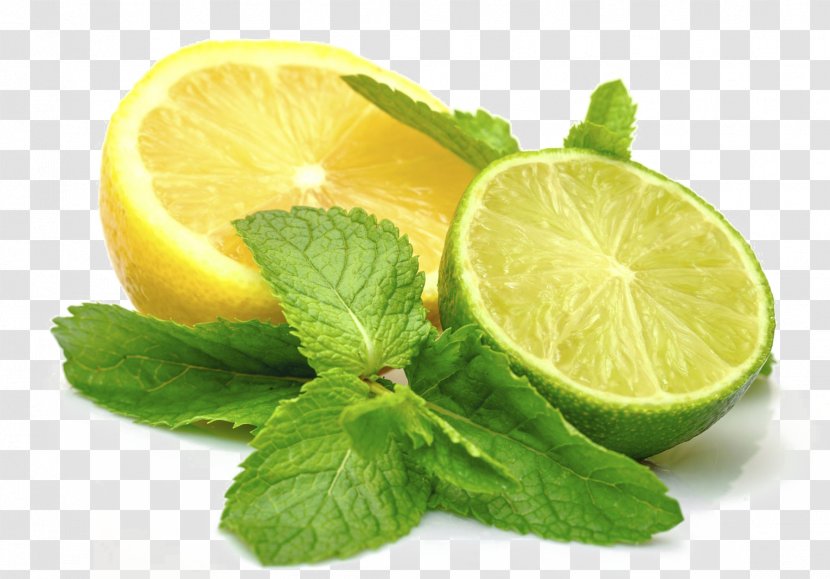 Lemon-lime Drink Key Lime Juice - Lemon Transparent PNG