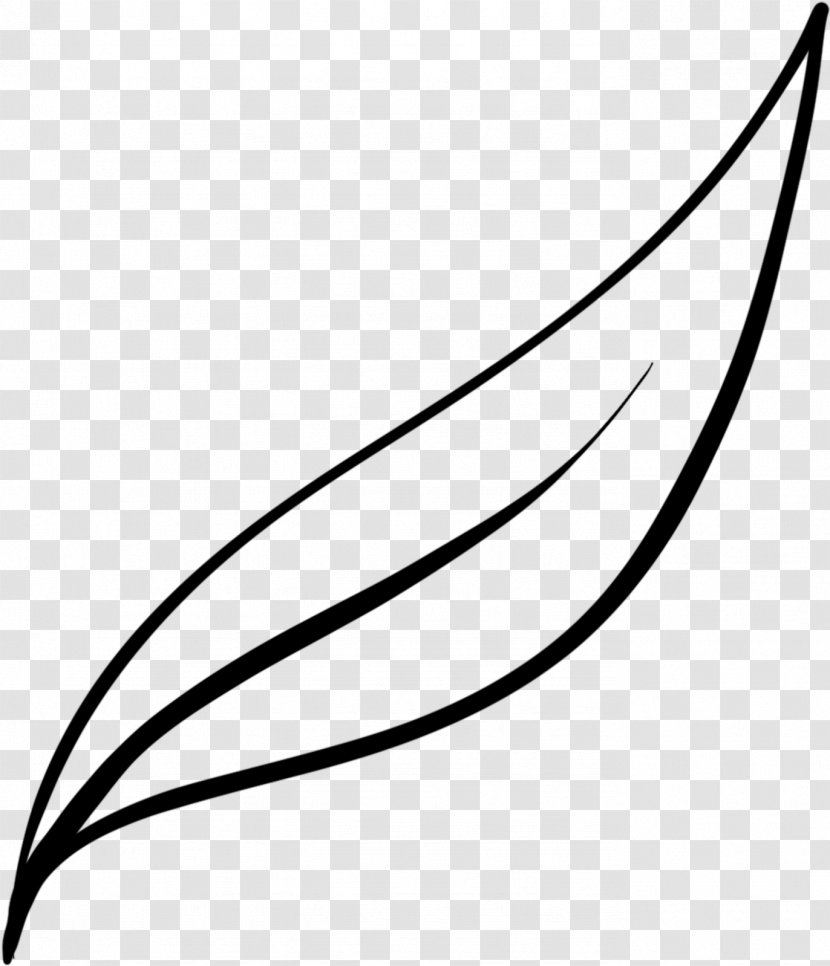 Line Background - Plant - Wing Transparent PNG