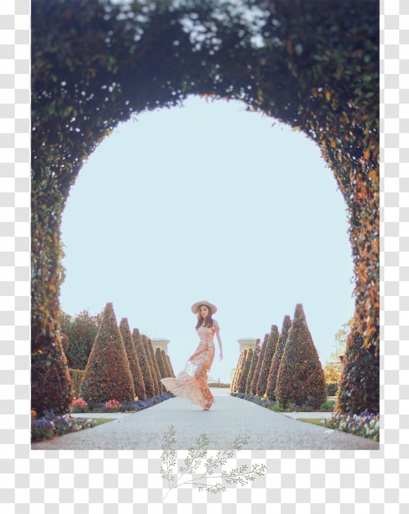 Fashion Model Blog Clothing Garden - Wedding Arch Transparent PNG