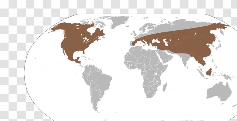 World Map Robinson Projection Globe - Horse Like Mammal Transparent PNG