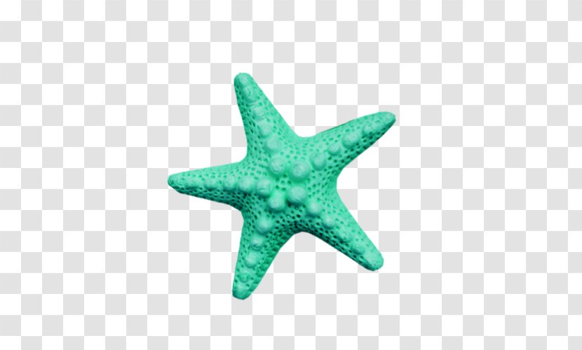 Download Icon - Blue - Creative Starfish Transparent PNG