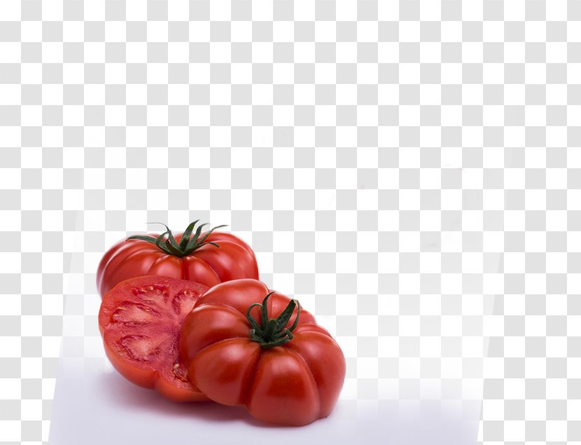 Plum Tomato Bush Food Cooperative Transparent PNG