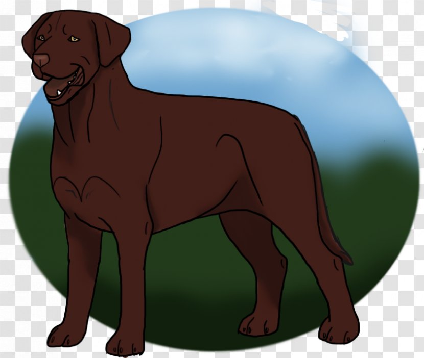 Labrador Retriever Dog Breed Puppy Illustration - Snout Transparent PNG