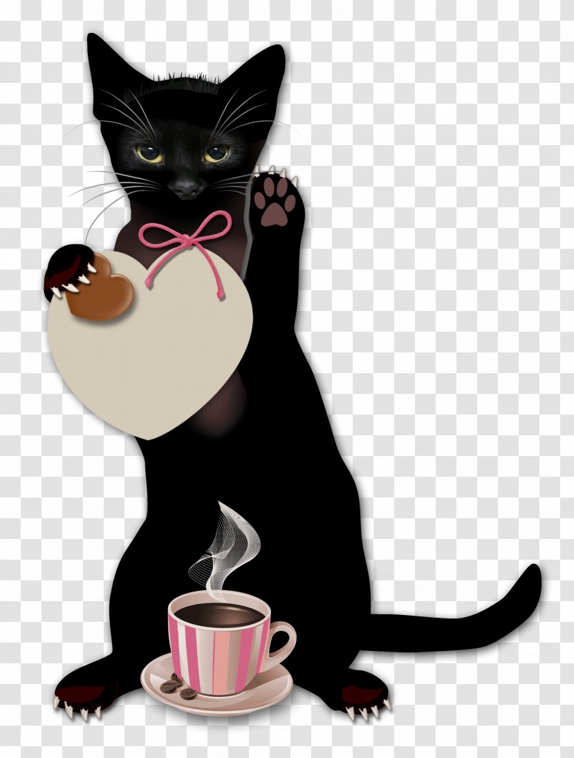Coffee Cafe Blingee - Mammal - Witch Cat Transparent PNG