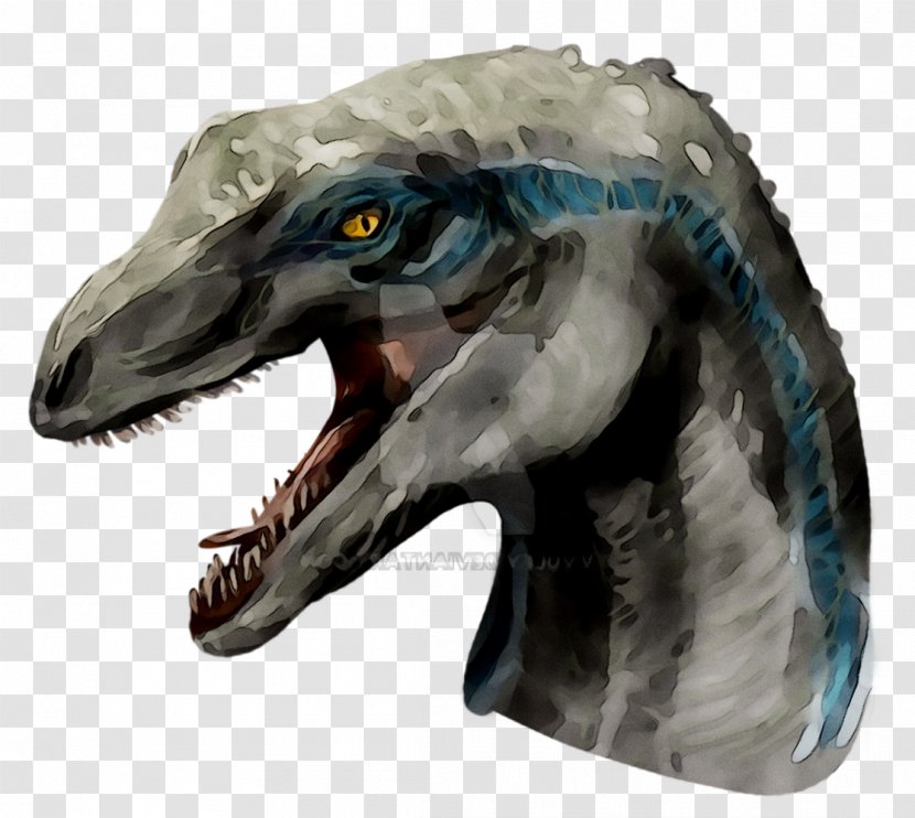 Velociraptor Tyrannosaurus Jaw Beak - Pachycephalosaurus Transparent PNG