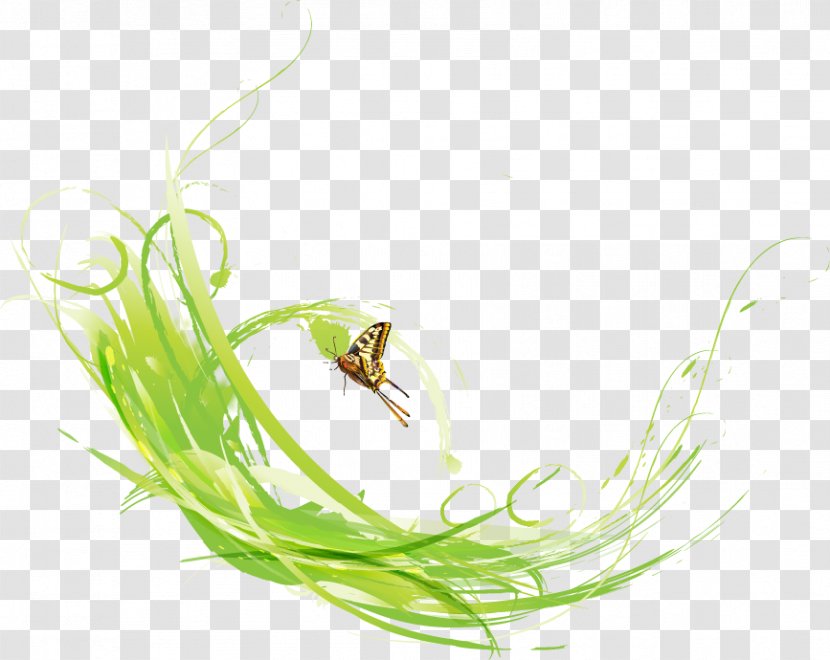 Butterfly Green Computer File - Invertebrate - Grass Transparent PNG