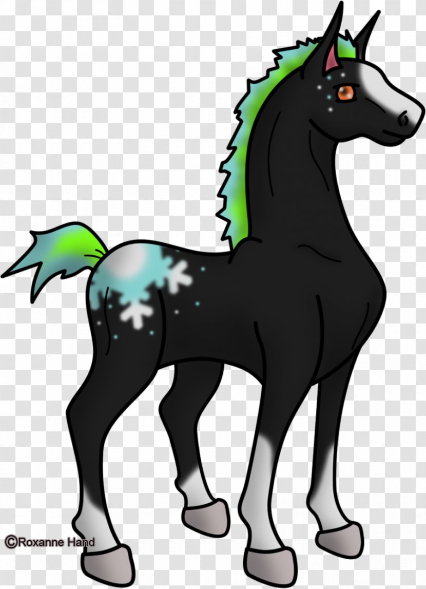 Pony Foal Mustang Stallion Colt Transparent PNG