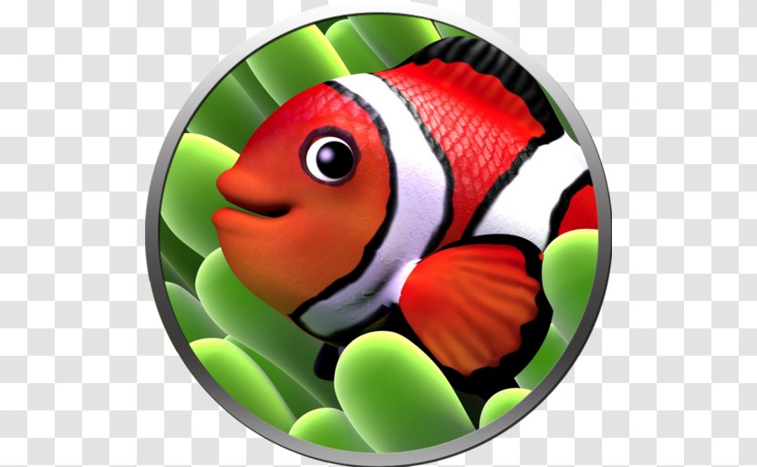 Fish Paradise Apple Mac App Store - Screensaver - Lovely Transparent PNG