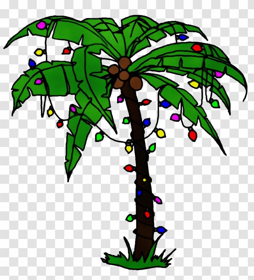 Palm Tree - Plant - Stem Flowerpot Transparent PNG