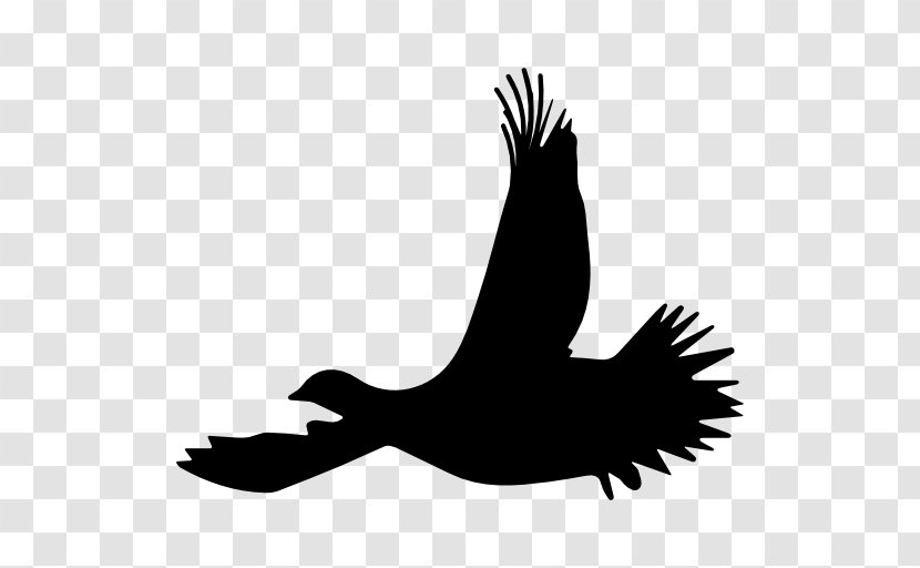Bird Flight Silhouette Ruffed Grouse - Eagle - Birds Transparent PNG