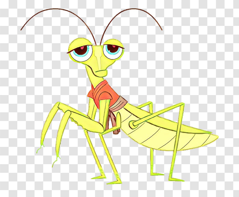 Insect Mantidae Grasshopper Cartoon Mantis Transparent PNG