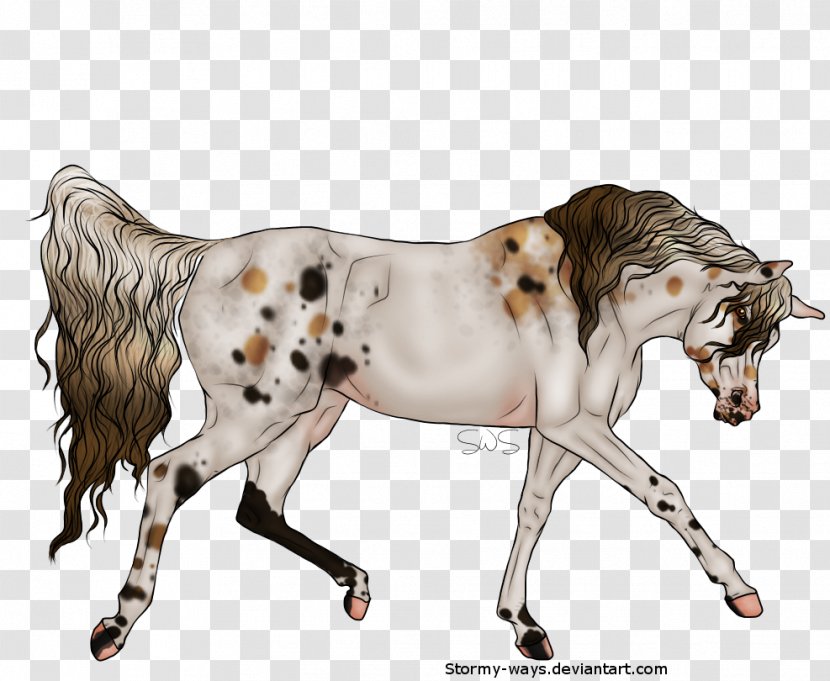 Mustang Stallion Pony Cat Fauna - Horse Like Mammal - Old Arabic Transparent PNG