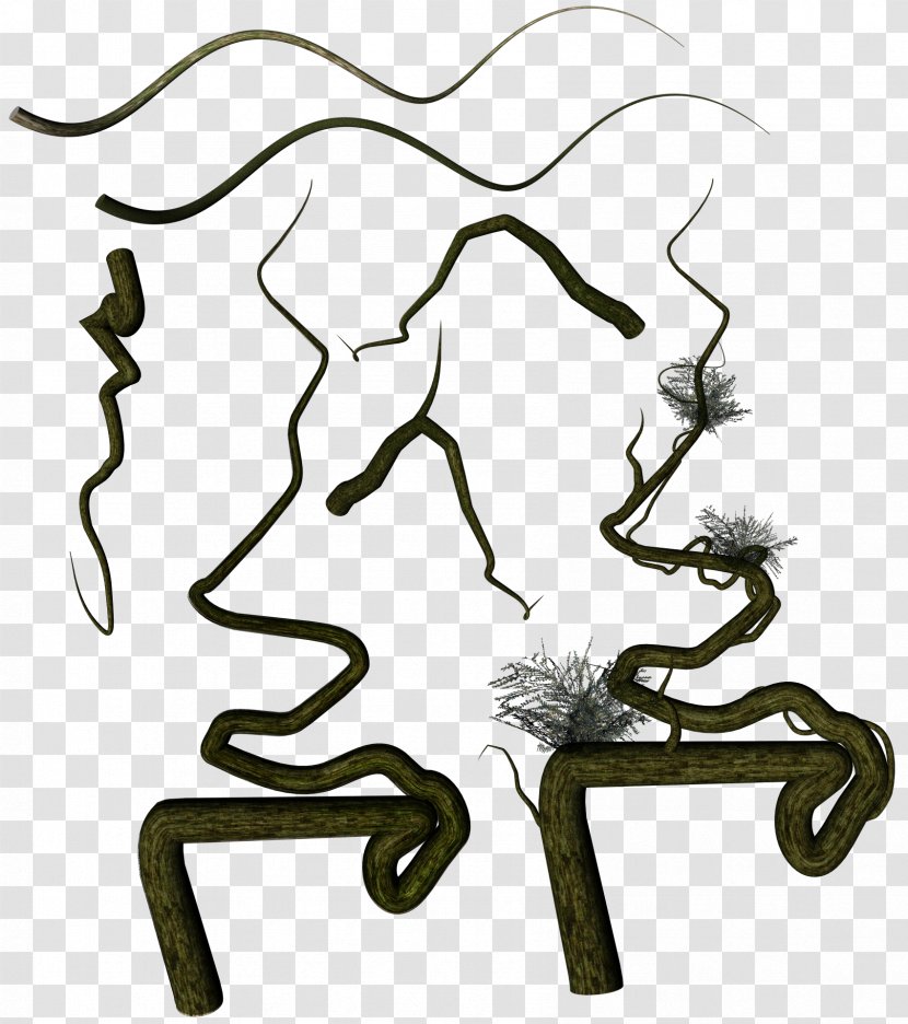 Vine Thorns, Spines, And Prickles Clip Art - Organism - Vines Transparent PNG