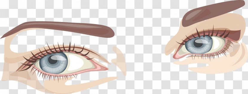 Eye Cartoon - Watercolor - Female Binocular Vector Graphics Transparent PNG