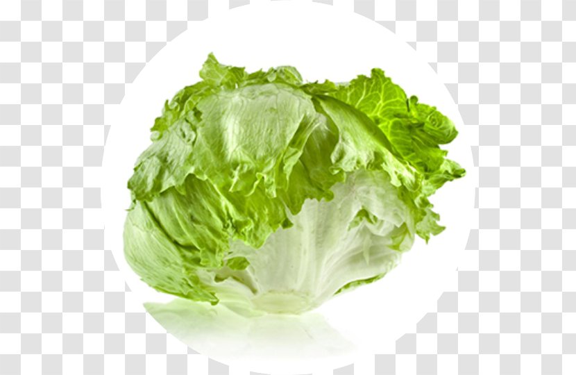Pizza Caesar Salad Iceberg Lettuce Vegetable - Curled Endive Transparent PNG