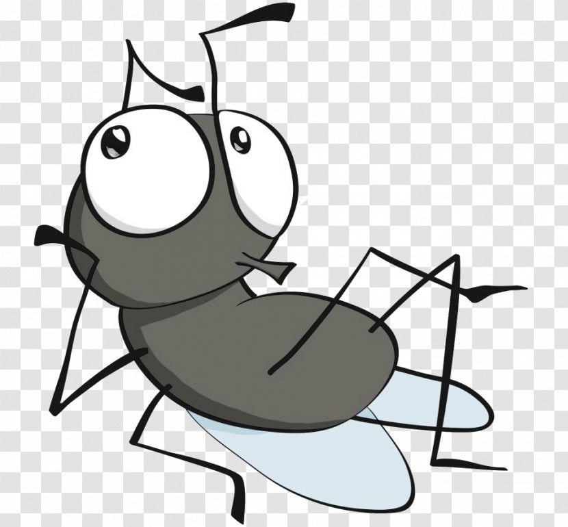 Fly YouTube Clip Art - Pest Transparent PNG