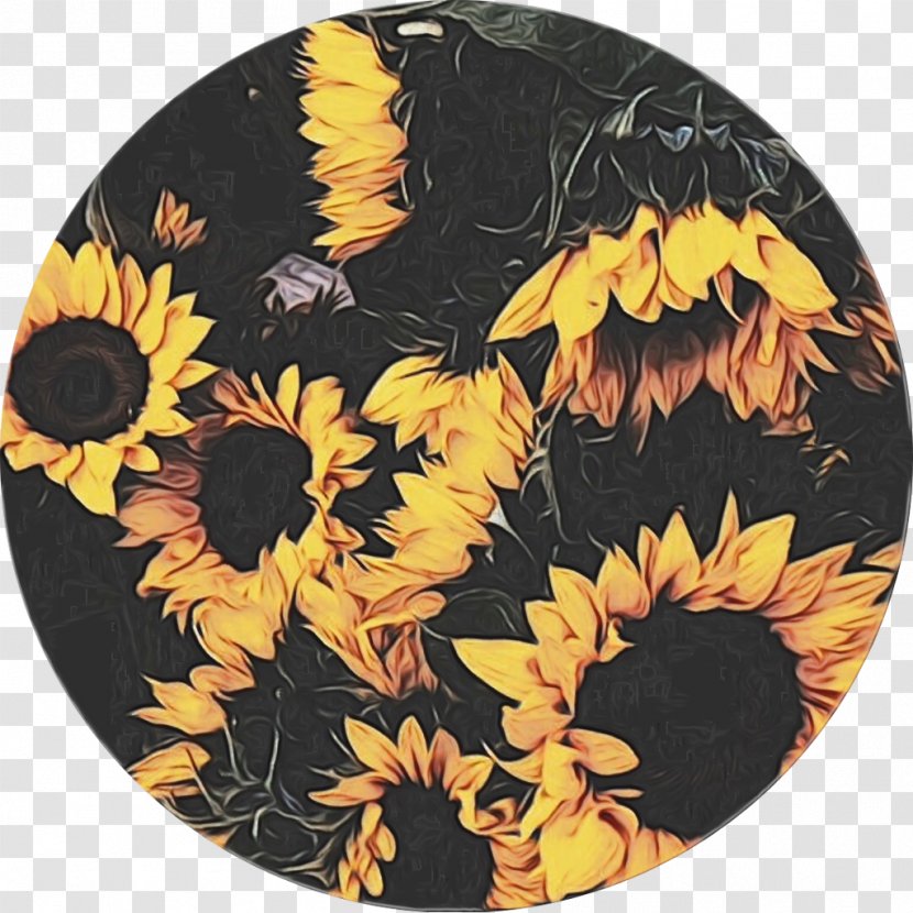 Sunflower - Plant - Tableware Transparent PNG