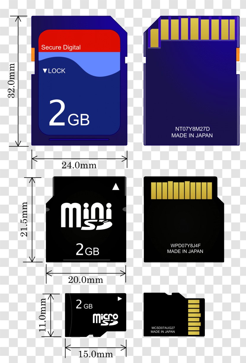 MiniSD Card Secure Digital MicroSD Flash Memory Cards Computer Data Storage - Electronics Accessory - Camera Transparent PNG