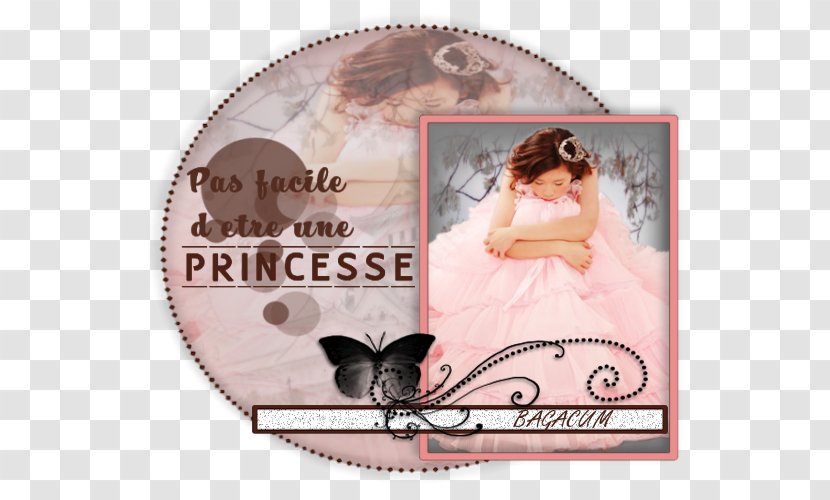 Picture Frames Torte-M - Cbf Transparent PNG