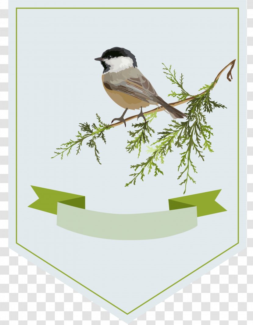 Bird Clip Art - Fauna - Branches Decorative Labels Transparent PNG