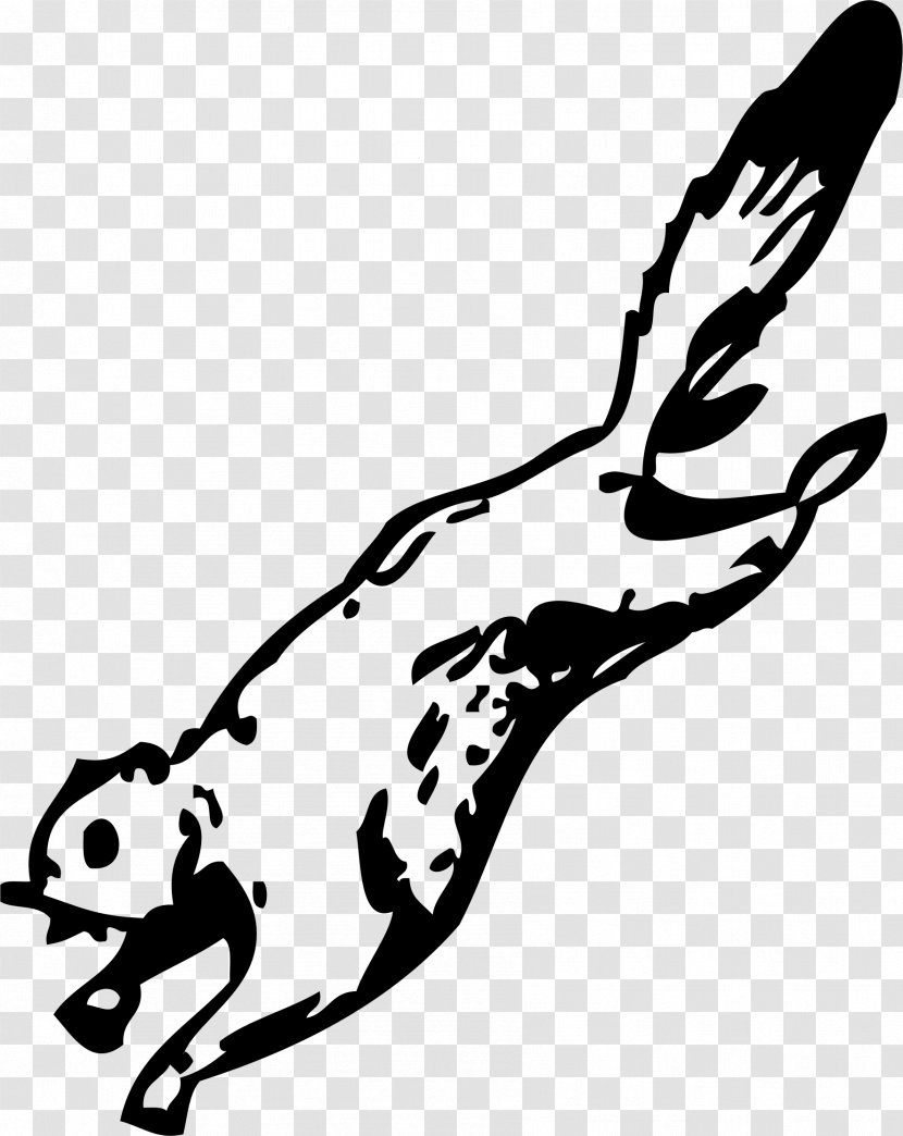 Flying Squirrel Clip Art - Coloring Book - Leaping Transparent PNG