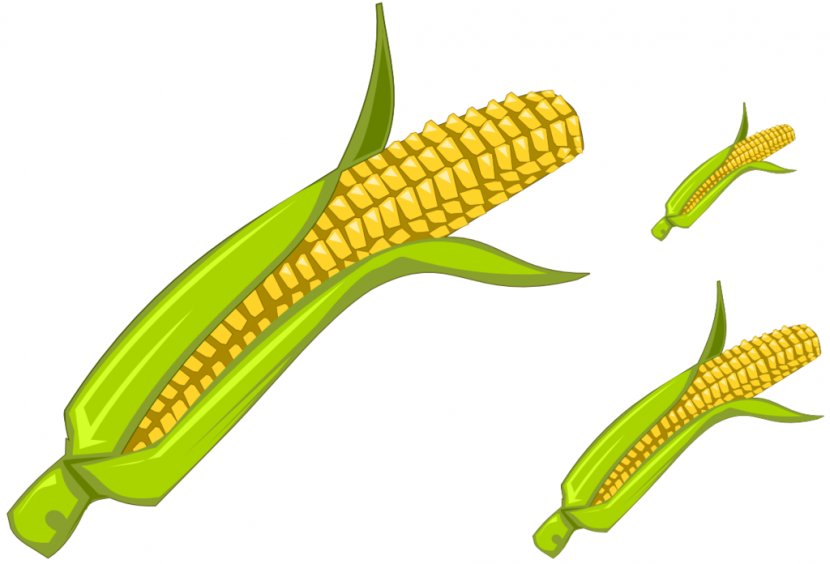 Candy Corn On The Cob Maize Sweet Clip Art - Pictures Of Objects Transparent PNG