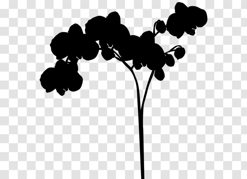 Clip Art Leaf Silhouette Plant Stem Flowering - Monochrome Photography Transparent PNG