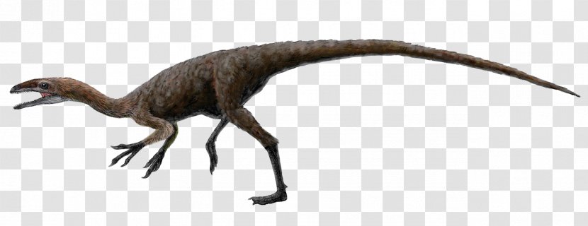 Aristosuchus Sinocalliopteryx Coelurus Barremian Tyrannosauroidea - Cretaceous - Realistic Cliparts Transparent PNG