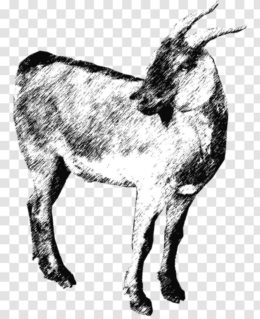 Goat Cattle Donkey Qurbani EZ Qurban Sdn. Bhd. - Organism Transparent PNG