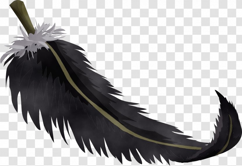 Feather - Eagle - Tail Transparent PNG