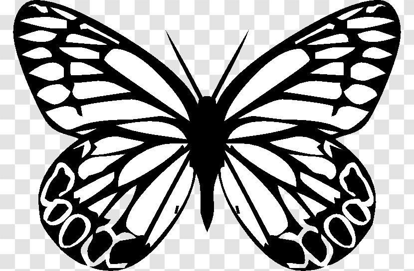 Monarch Butterfly Insect Silhouette Drawing - Invertebrate Transparent PNG
