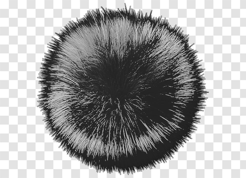 Fur Snout White Black M - 70 Transparent PNG