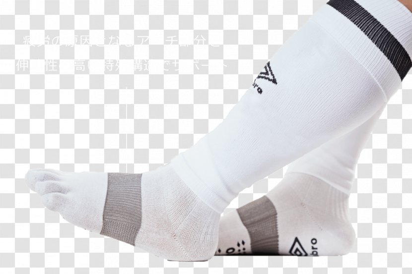 Sock Ankle Shoe - Joint - Design Transparent PNG