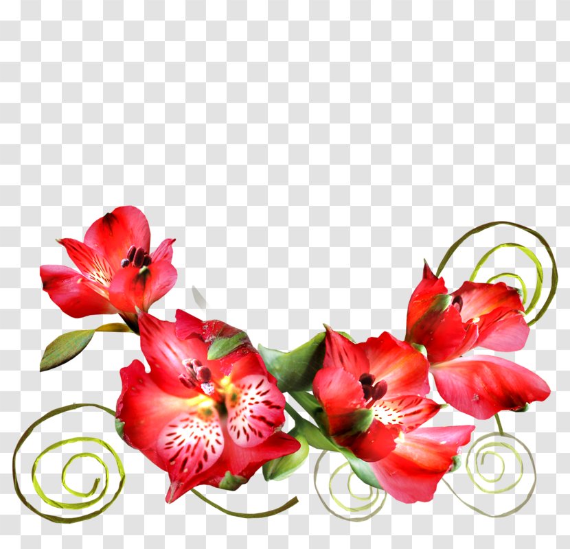 Floral Design Cut Flowers Blog Clip Art - Flower Transparent PNG