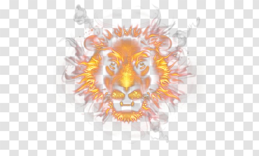 Lion Flame Fire - Designer - Head Transparent PNG
