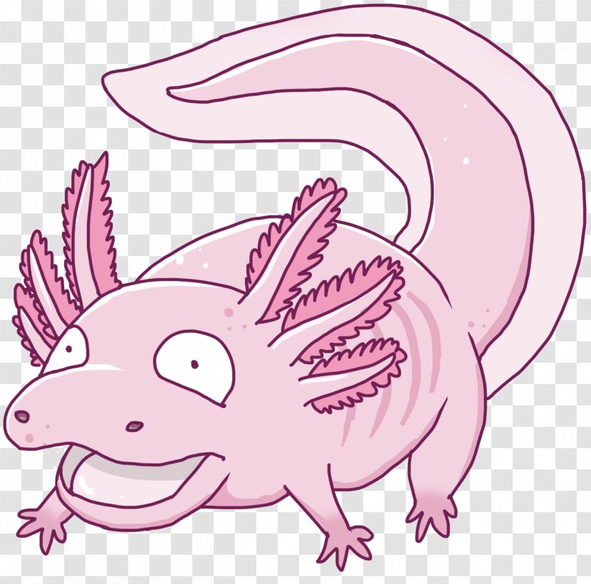 Clip Art Illustration Axolotl Image - Amphibian - Drawing Jedimastermossfur Transparent PNG
