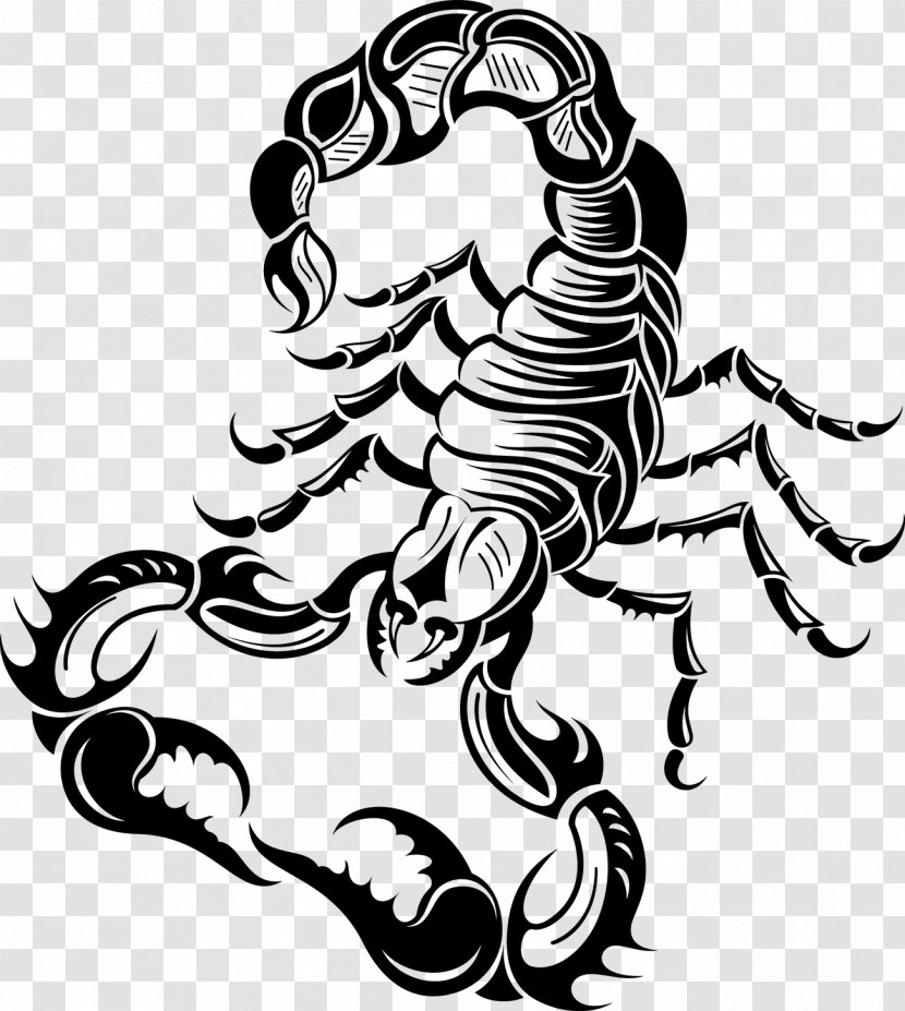 Scorpion Illustration - Scorpio - Tattoo Transparent PNG